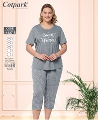 Жіноча піжама бриджі та футболка великих розмірів Cotpark art 14427-B 14427-B фото