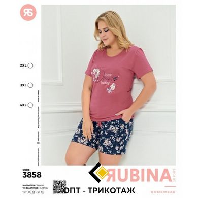 Женская пижама батал шорты и футболка Rubina Secret Турция art.3858 3858 фото
