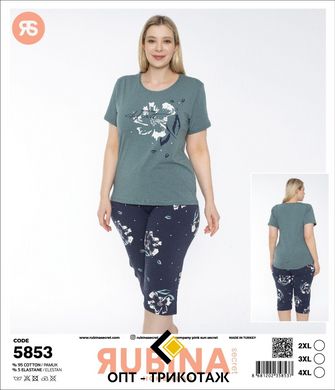 Жіноча піжама батал бриджі та футболка Rubina Secret art.5853 5853 фото