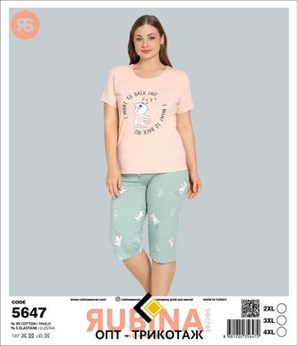 Жіноча піжама батал бриджі та футболка Rubina Secret art.5647 5647 фото