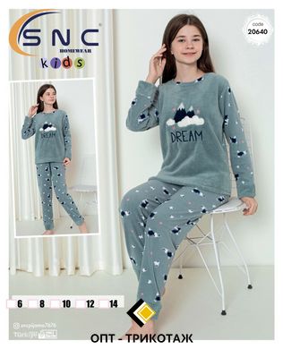 Пижама детская теплая флис и махра | ТМ. SNC art 20640 20238 фото