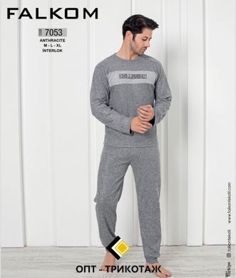 Мужская пижама теплая плотный интерлок TM. Falkom art. 7053 7053 фото