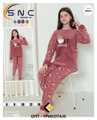 Пижама детская теплая флис и махра | ТМ. SNC art 20641 copy_20641 фото