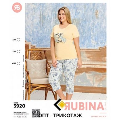 Женская пижама большого размера бриджи и футболка Rubina Secret Турция art.3920 3920 фото