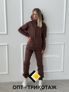 Спортивний костюм шоколад теплий три-нитка на флісі art. 0339 13_0339 фото