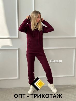 Спортивний костюм вишня теплий три-нитка на флісі art. 0339 18_0339 фото