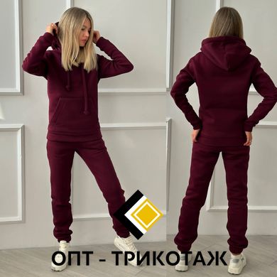 Спортивный костюм вишня теплый трех-нитка на флисе art. 0339 18_0339 фото