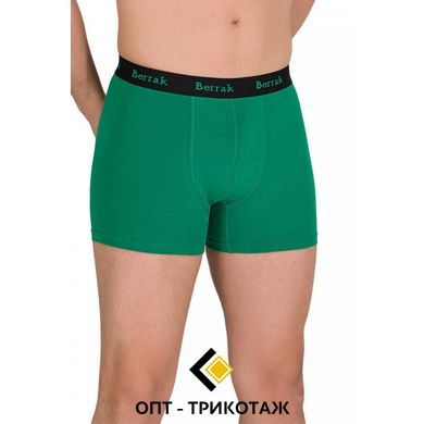 Чоловічі труси боксери колір Зелений | ТМ Berrak | від 5 штук S-4476-7 фото